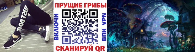 Галлюциногенные грибы GOLDEN TEACHER  Ставрополь 
